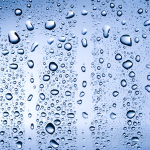 shutterstock_629323872-300x300 Condensation…Not So Pretty