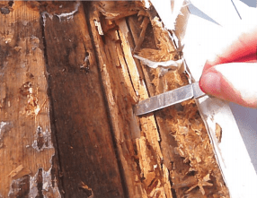 wood-sheathing Transition Studies