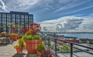 shutterstock_409974142-300x185 Adding A Rooftop Deck