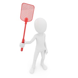 fly-swatter-300x300 Arm Yourself Against Drain Flies!