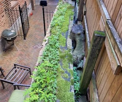 Strong Roots, Weak Foundations